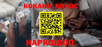 кокс Гатчина