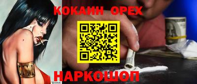 кокс Гатчина