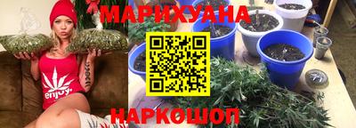 кокс Гатчина