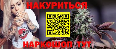 кокс Гатчина
