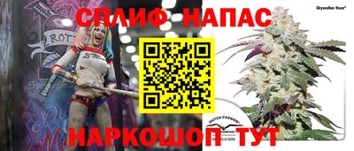 кокс Гатчина