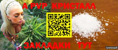 кокс Гатчина