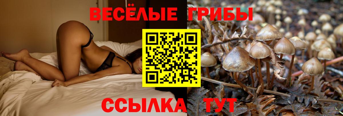 Галлюциногенные грибы ЛСД Сергиев Посад